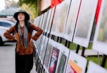 call activity decrease daily