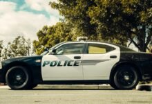 expert legal services online