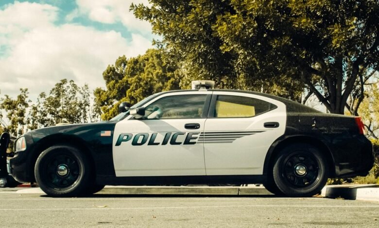 expert legal services online