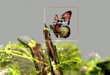 outlier detection for callers