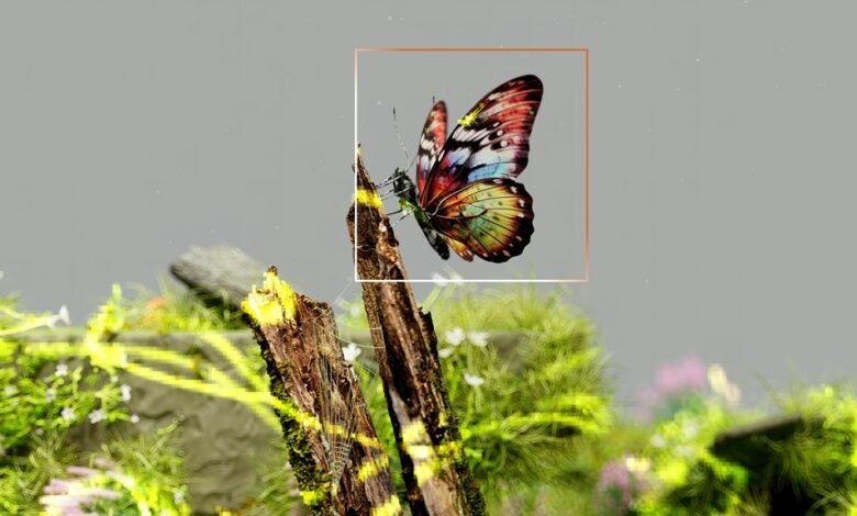 outlier detection for callers