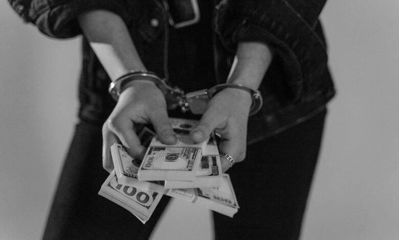 fraud detection activity report