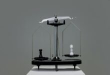 fraud prevention hotline numbers