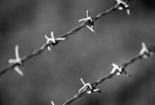 fraudulent caller protection division