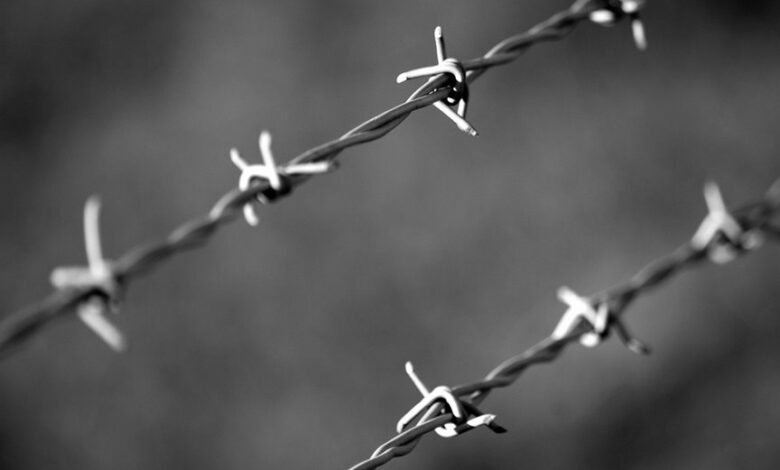 fraudulent caller protection division