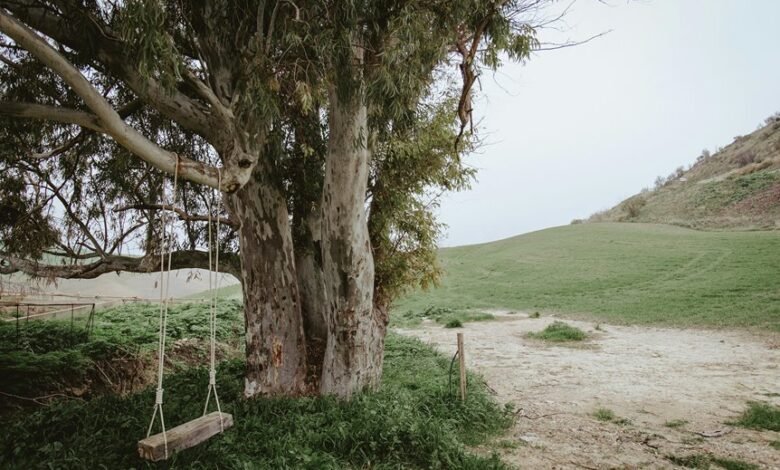 discover earning opportunities online